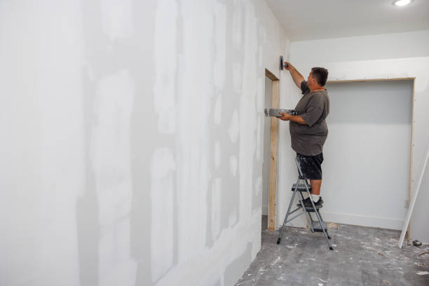 Best Touch-Up Painting  in USA